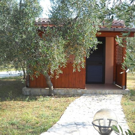 Santa Maria Villaggio Turistico Vieste Eksteriør bilde